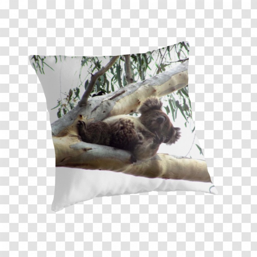 Koala Throw Pillows Cushion Marsupial - Pillow - Flippers Transparent PNG