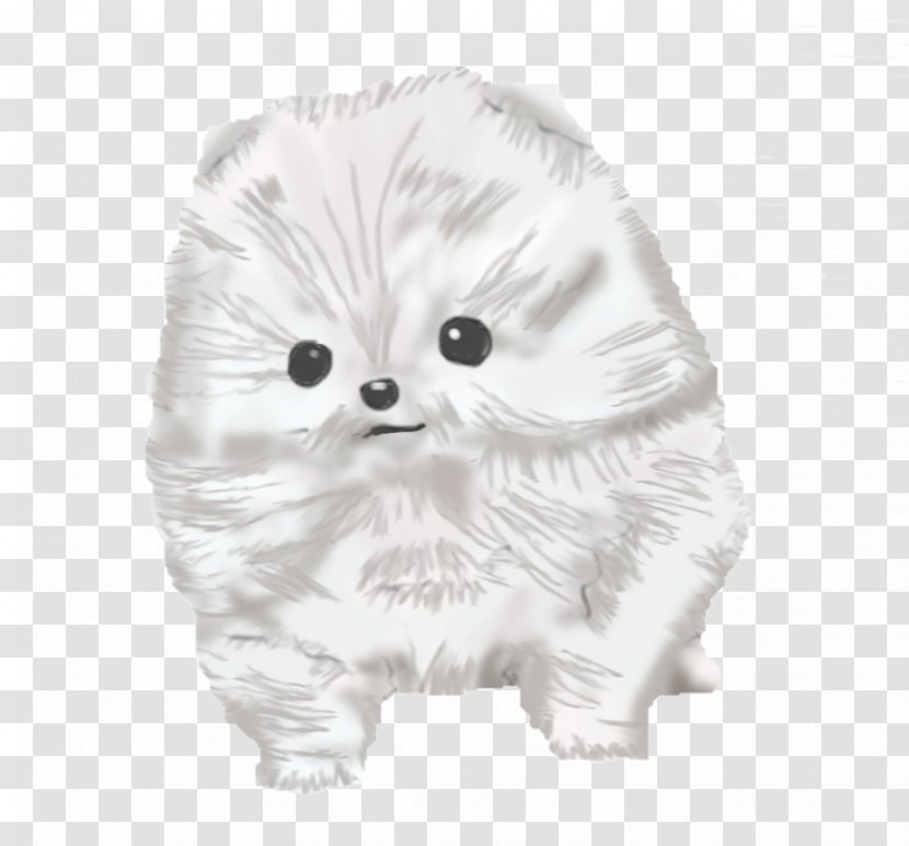 Whiskers Pomeranian Puppy Dog Breed Drawing Transparent PNG