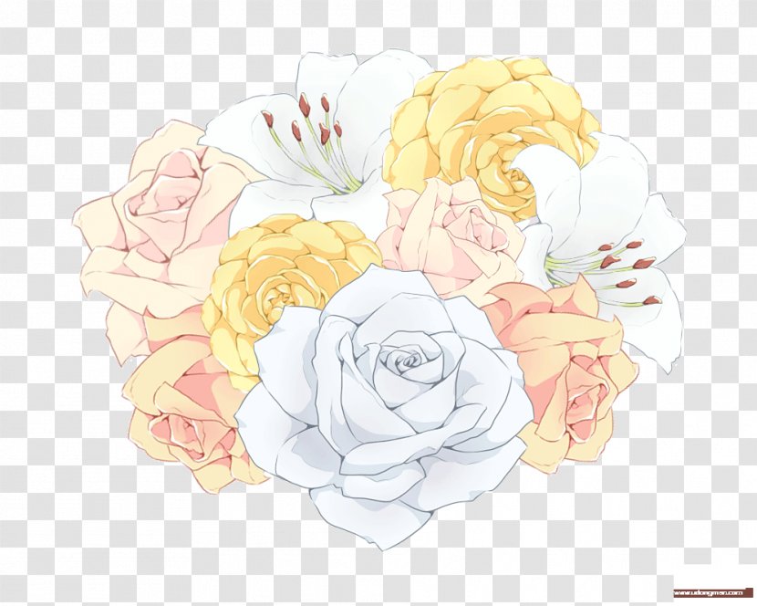 Centifolia Roses Garden Floral Design Cut Flowers - Rosa - Flower Transparent PNG