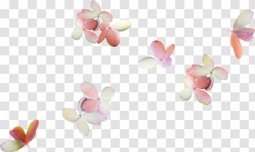 Petal Flower Clip Art - Bowknot Transparent PNG