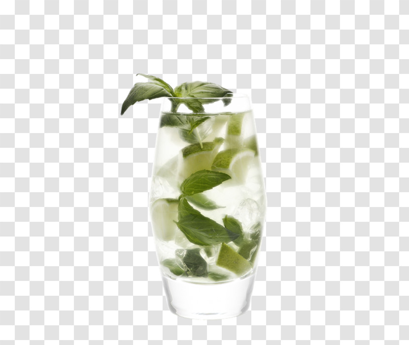 Leaf Plant Vase Highball Glass Lemon Basil Transparent PNG