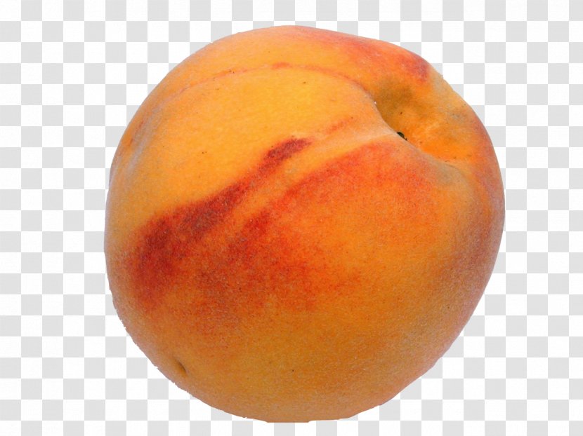 Peach Apricot Chilling Requirement Fruit Tree Monilinia Fructicola - Augusta - Foor Transparent PNG