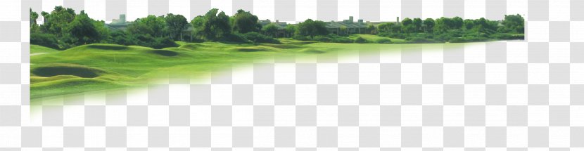 Window Lawn Land Lot Energy Green - Text - Park View Transparent PNG