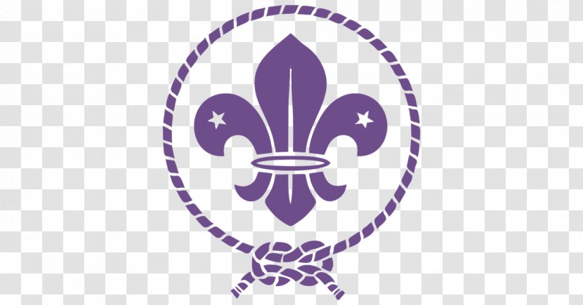 Scouting For Boys World Scout Emblem Boy Scouts Of America Fleur-de-lis - Troop Transparent PNG