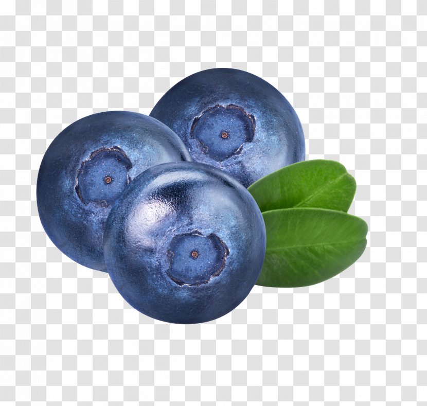 Blueberry Bilberry Auglis Fruit - Sphere - Large Arbutin Material Transparent PNG