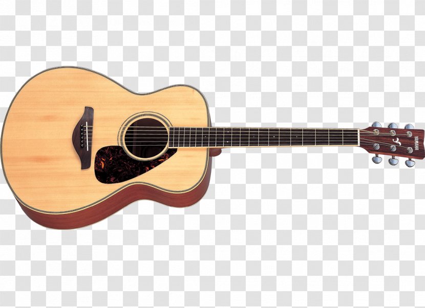 Yamaha FG800 Acoustic Guitar Musical Instruments C40 - Watercolor Transparent PNG
