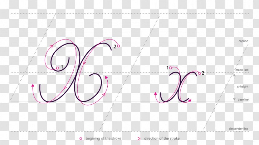 Brand Logo Line Pattern - Frame Transparent PNG