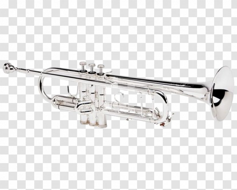 Piccolo Trumpet Brass Instruments Musical Leadpipe - Flower - Hold The Transparent PNG