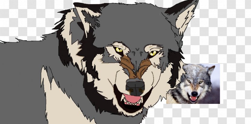 Gray Wolf IPhone 7 Fur Snout - Wildlife - Profile Picture For Youtube Transparent PNG