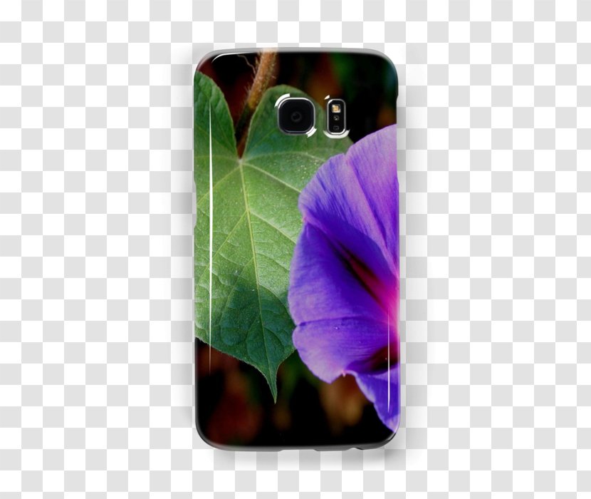 Samsung Galaxy IPhone IPad Mini Telephone - Flowering Plant - Morning Glory Leaves Transparent PNG