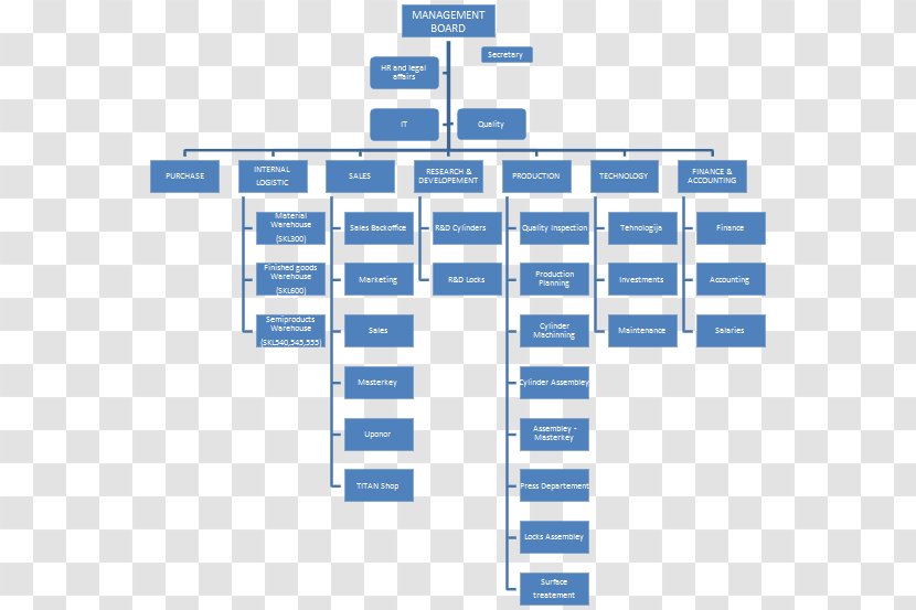 Organizational Chart Structure Diagram Management - Project Transparent PNG