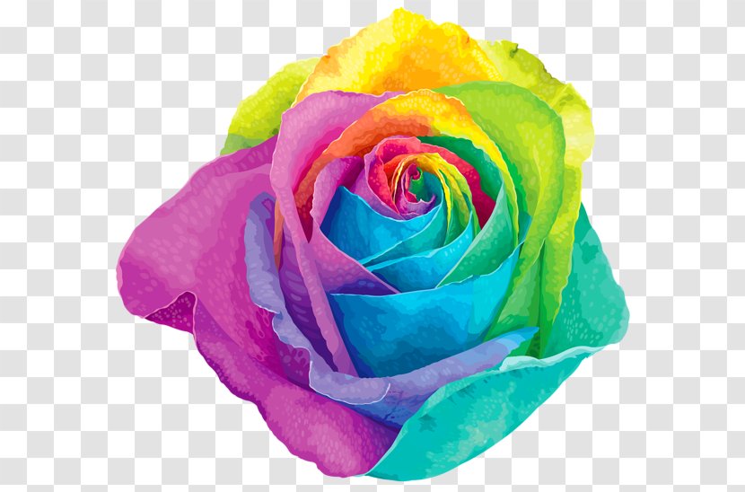 Rainbow Rose Flower Garden Roses Clip Art - Yellow - Lily Of The Valley Transparent PNG