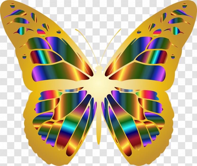 Monarch Butterfly Insect Clip Art - Iridescence Transparent PNG