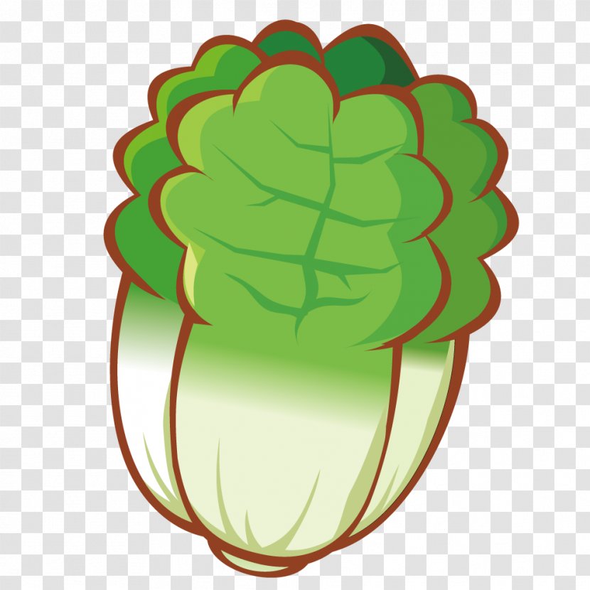 Cartoon Vegetable Drawing - Cabbage - Lifelike Transparent PNG