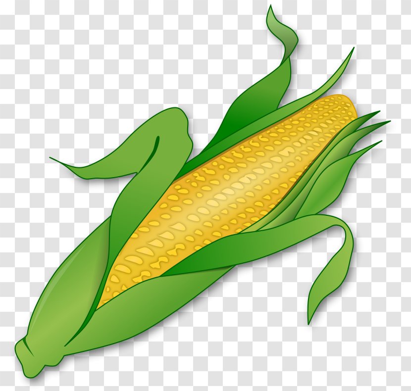 Corn On The Cob Corncob Maize Clip Art - Plant - Popcorn Transparent PNG