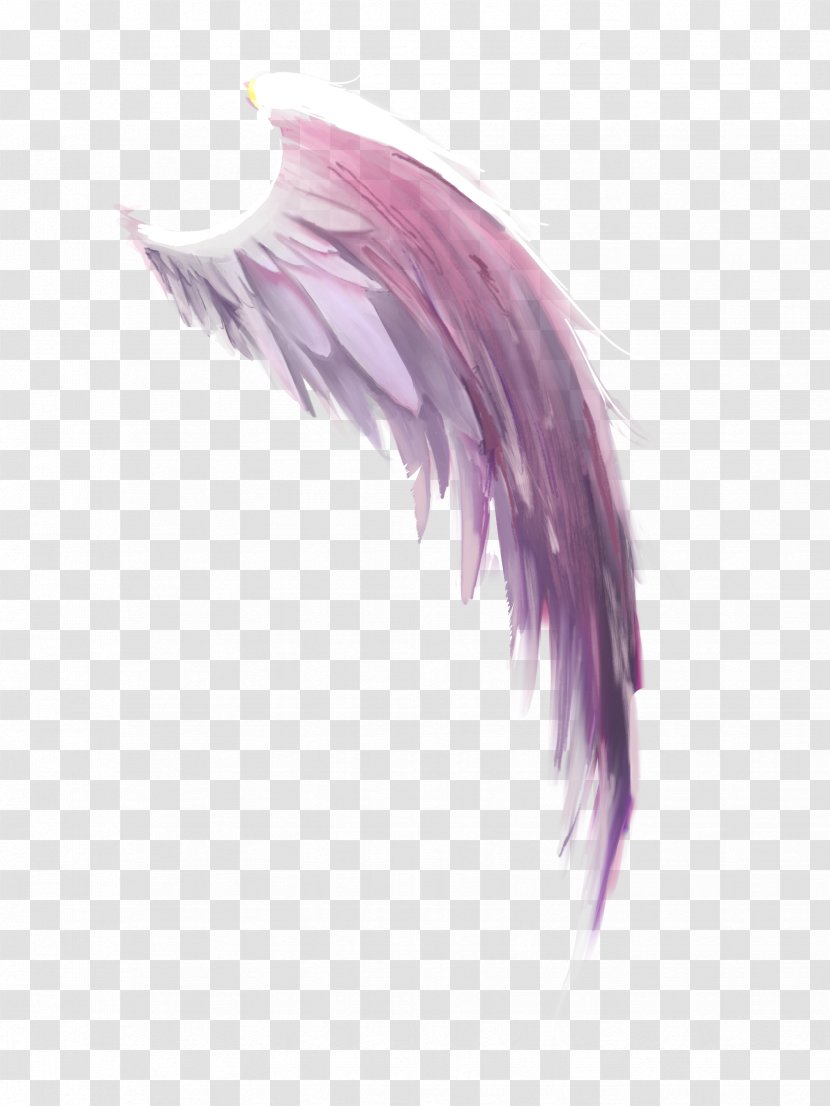 Purple - Feather - Bighead Transparent PNG