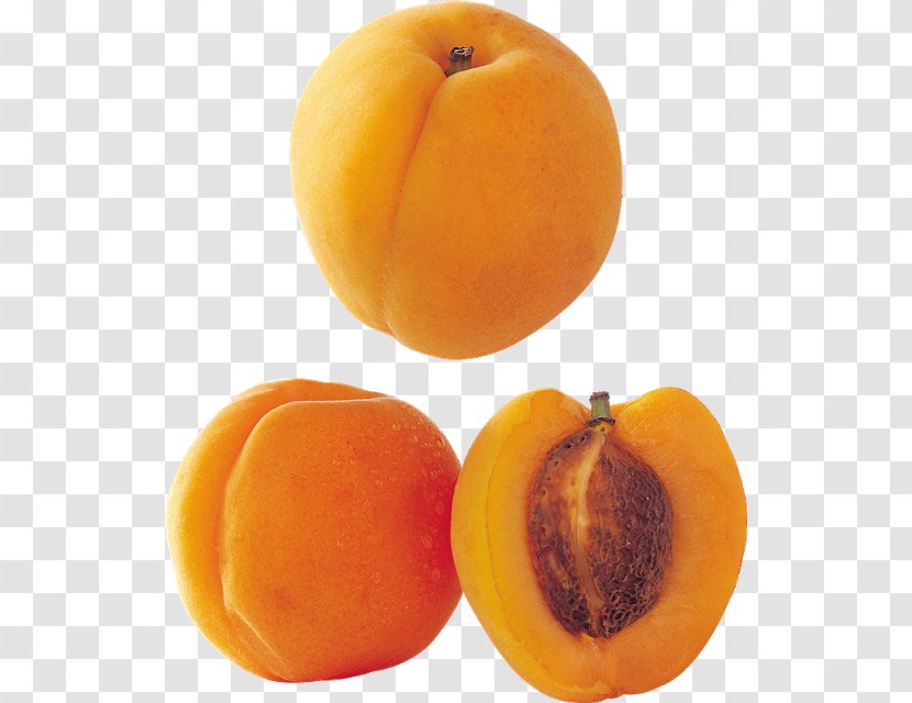 Apricot Fruit Longevity Peach Saturn Transparent PNG