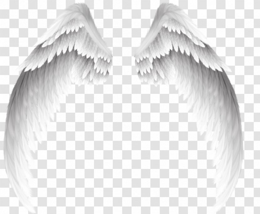 Angel Clip Art - Black And White - Pretty Wings Transparent PNG