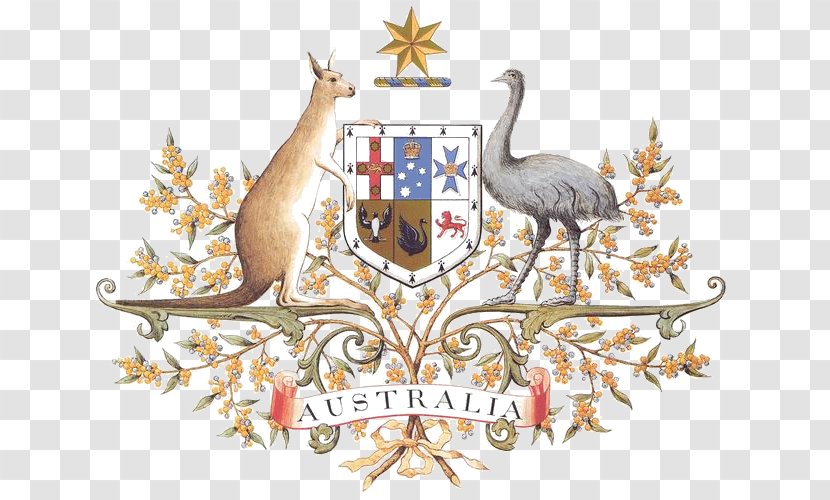 Coat Of Arms Australia National Symbols Floral Emblem Transparent PNG