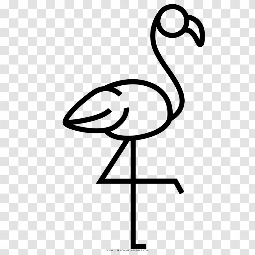 Greater Flamingo Drawing Beak Clip Art - Bird - Flamingos Printing Transparent PNG