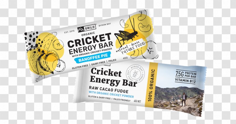 Cricket Flour Insect Protein Energy Bar - Peanut Butter Transparent PNG