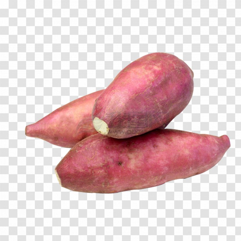Sweet Potato Root Vegetables Tuber - Vegetable Transparent PNG
