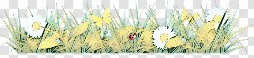 Grasses Plant Stem Grain Plants - Wildflower Transparent PNG