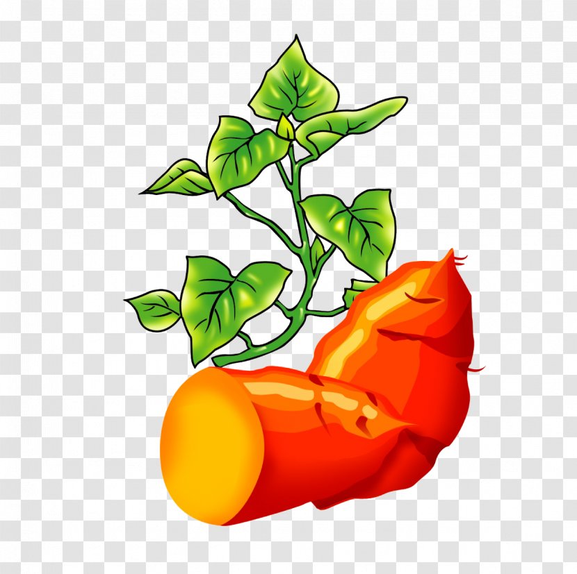 Roasted Sweet Potato Vegetable Food Clip Art - Leaf Transparent PNG