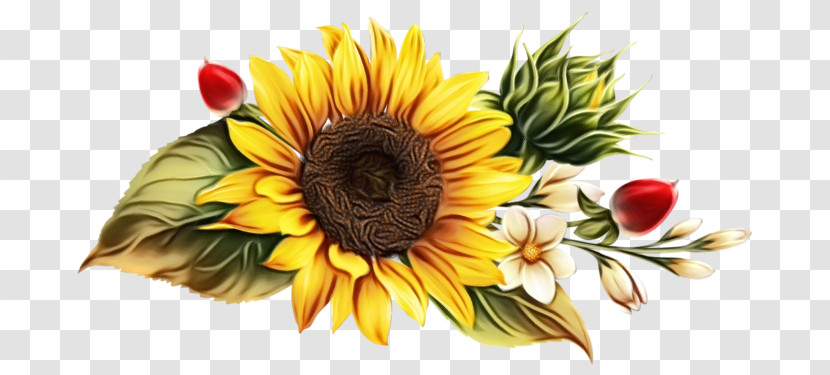 Floral Design Transparent PNG