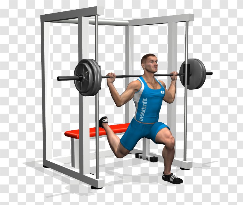 Squat Bench Press Exercise Quadriceps Femoris Muscle - Physical Fitness - Practice The Pain Of Squatting Posture Transparent PNG