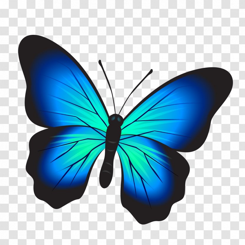 Butterfly Watercolor Painting Clip Art - Cartoon Transparent PNG