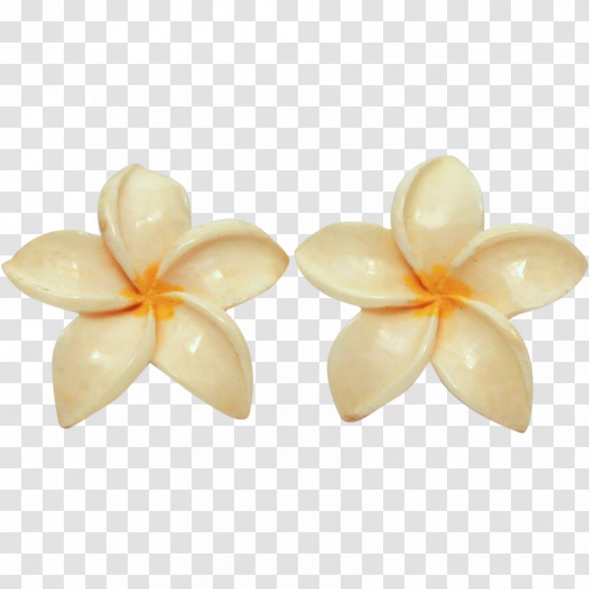 Frangipani Flower Petal Plumeria Hawaiian Jewelry Earring - Hawaii Transparent PNG