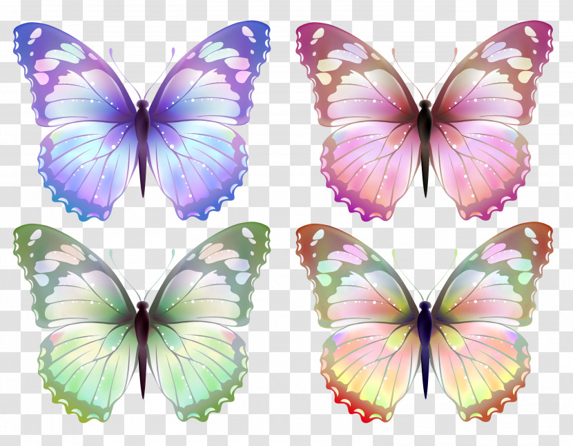 Butterfly Insect Moths And Butterflies Pollinator Brush-footed Butterfly Transparent PNG