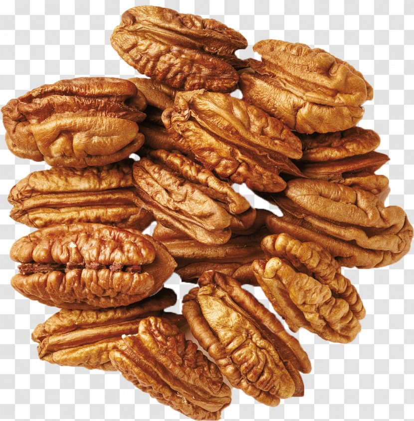 Pecan Nut Dried Fruit Almond Pistachio - Nuts Transparent PNG