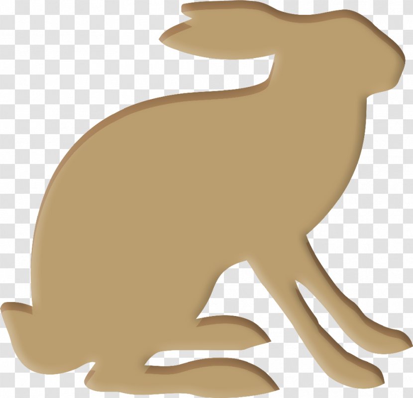 European Hare Rabbit Easter Bunny Pet - Akshay Kumar Transparent PNG