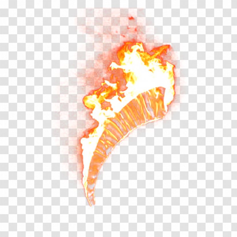 Light Flame Fire - Silhouette - Elemental Transparent PNG