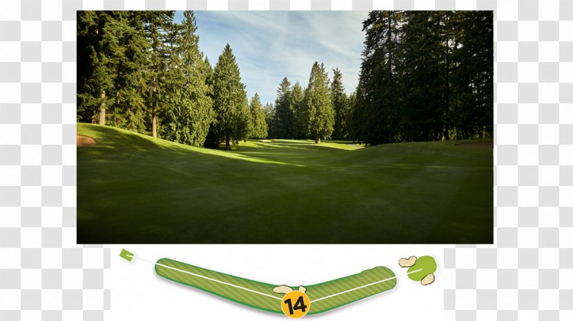 Golf Clubs Course Lawn - Land Lot Transparent PNG