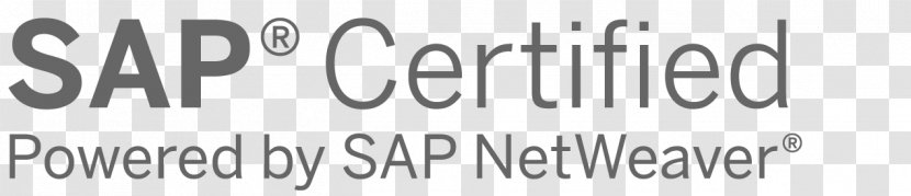 SAP SE ERP NetWeaver Logo Brand - Sap Erp Transparent PNG