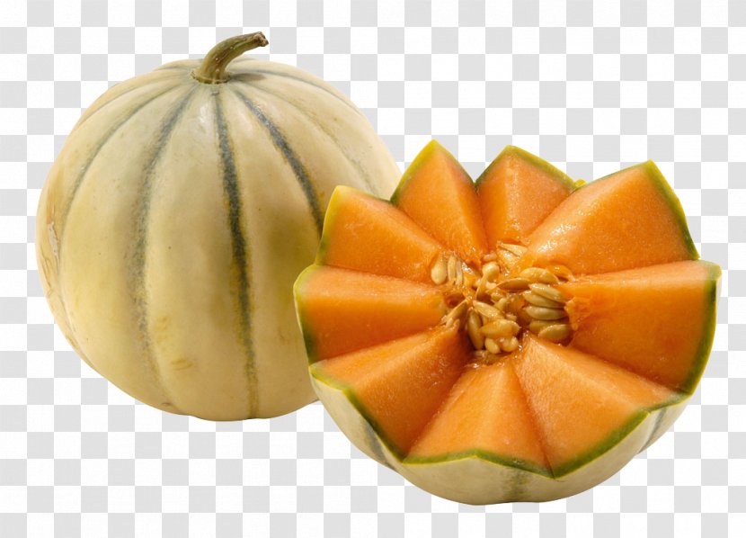 Cavaillon Melon Cantaloupe Food Vegetable - Squash - Vis Card Transparent PNG