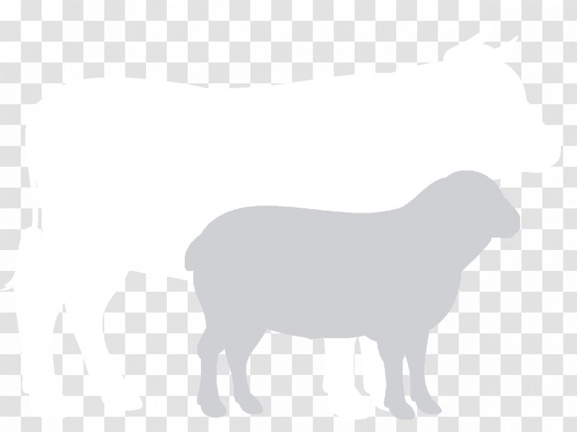 Sheep Cattle Dog Goat Horn - Grazing Cows Transparent PNG