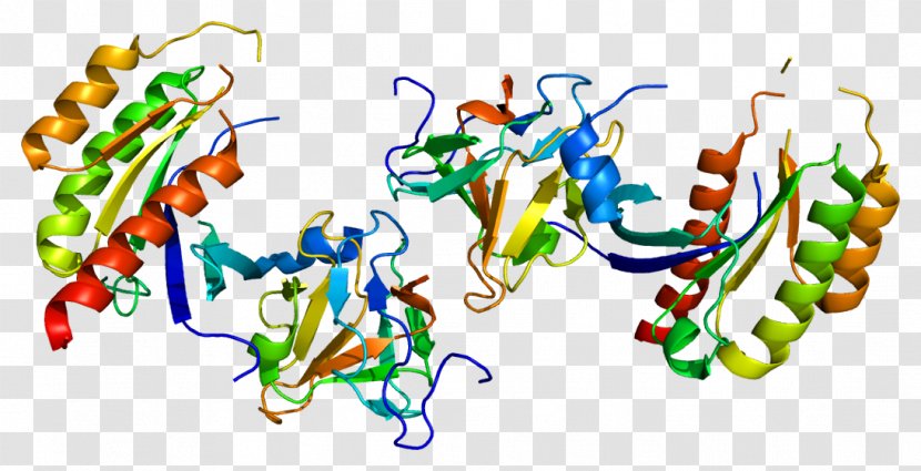 RAB8A Protein Ras Superfamily Gene - Heart - Watercolor Transparent PNG