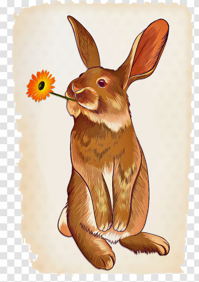 Hare Drawing Line Art Cartoon Rabbit Transparent PNG