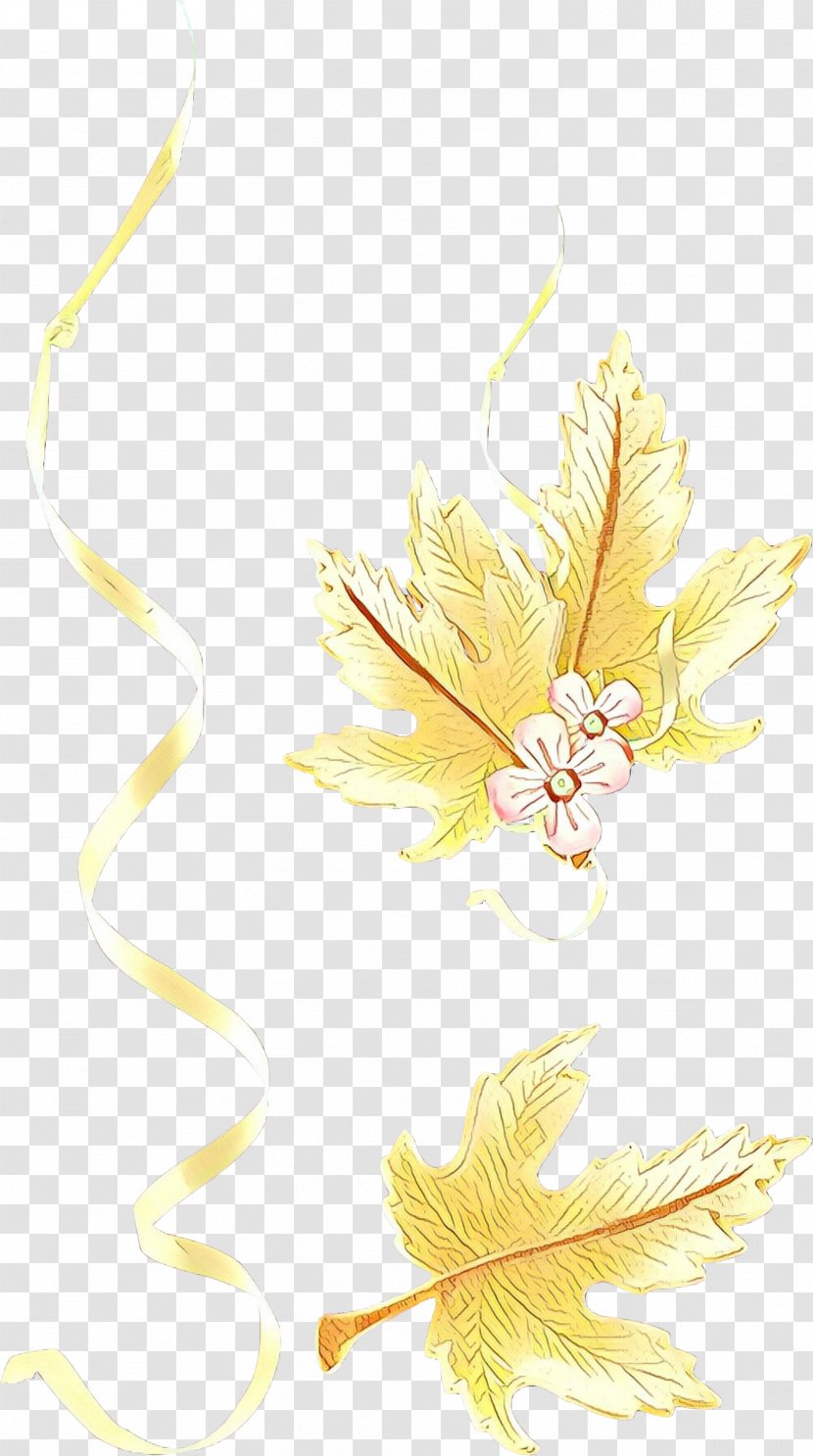 Feather - Cartoon - Wing Plant Transparent PNG