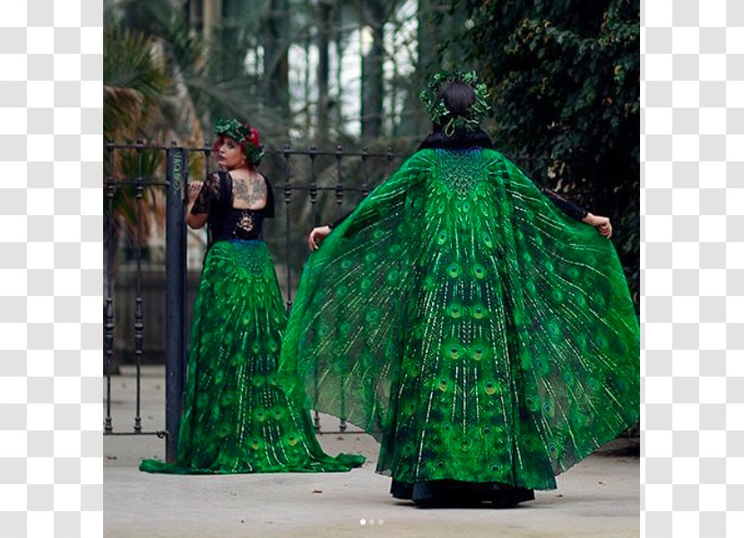Cape Costume Designer Clothing Costurer - Tree - Flying Birds Transparent PNG