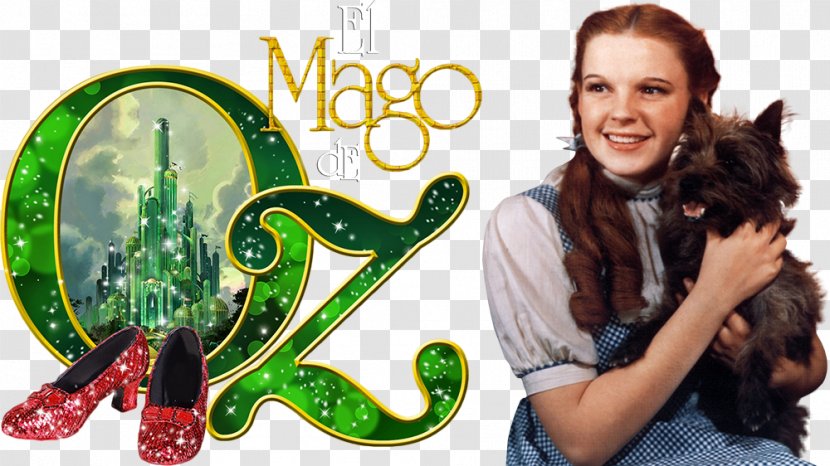 The Wonderful Wizard Of Oz Dorothy Gale Cowardly Lion - Organism Transparent PNG