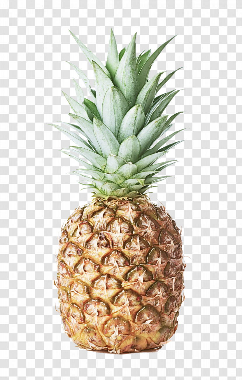 Pineapple Transparent PNG