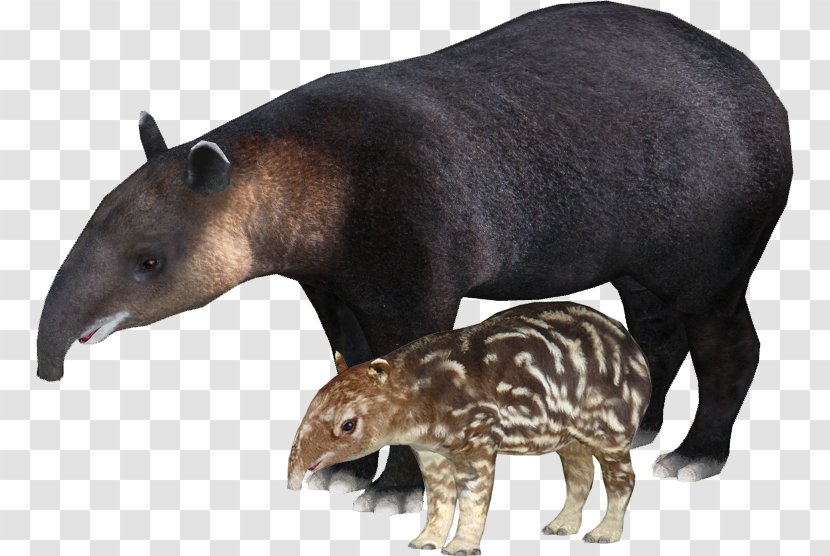 Zoo Tycoon 2 Mountain Tapir Animal Malayan Lion - Conservation Reserve Transparent PNG