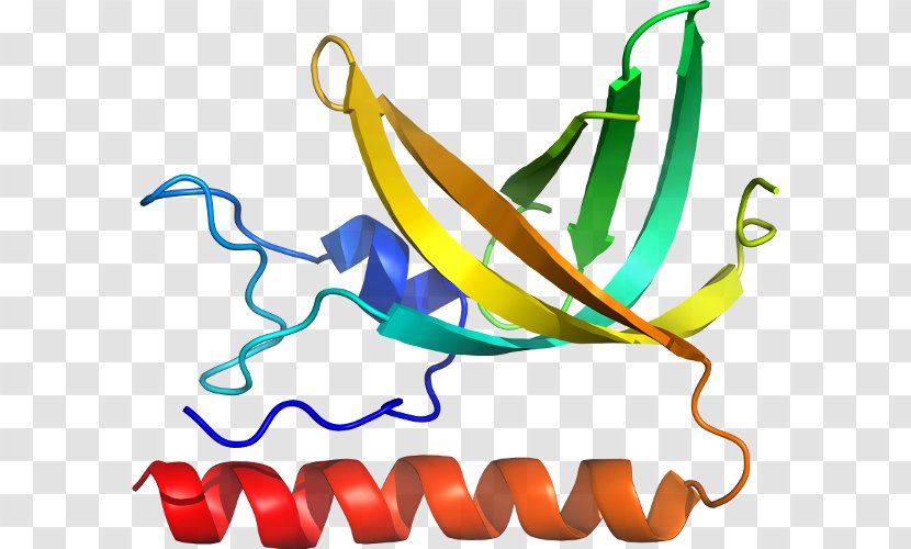 Clip Art Product Line Organism Special Olympics Area M - Protein Biosynthesis Transparent PNG