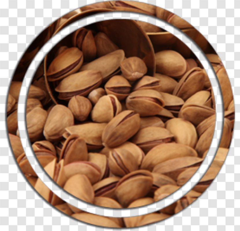 Pistachio Nut Commodity Transparent PNG