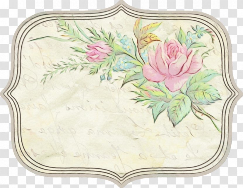 Plant Flower Wildflower Tableware Tulip Transparent PNG